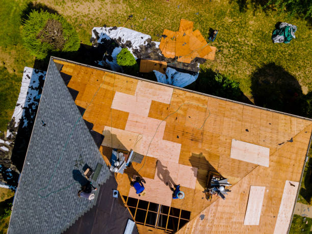 Best Roof Maintenance Services  in Huber Heights, OH